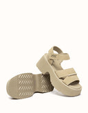 Australian Shepherd® Eive