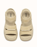 Australian Shepherd® Eive