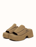 Australian Shepherd® Haive