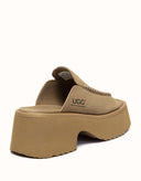 Australian Shepherd® Haive