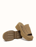 Australian Shepherd® Haive