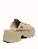 Australian Shepherd® Haive