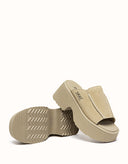 Australian Shepherd® Haive