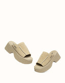 Australian Shepherd® Haive