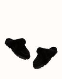 AUSTRALIAN SHEPHERD® Doria