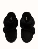 AUSTRALIAN SHEPHERD® Doria