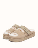 AUSTRALIAN SHEPHERD® Clava