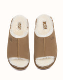 AUSTRALIAN SHEPHERD® Colven