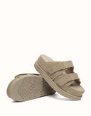 AUSTRALIAN SHEPHERD® Ventra