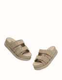 AUSTRALIAN SHEPHERD® Ventra