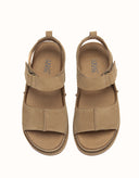 AUSTRALIAN SHEPHERD® Terral