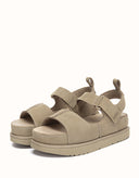 AUSTRALIAN SHEPHERD® Terral