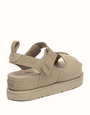 AUSTRALIAN SHEPHERD® Terral