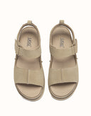 AUSTRALIAN SHEPHERD® Terral