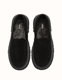 AUSTRALIAN SHEPHERD® Zeric