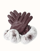 AUSTRALIAN SHEPHERD® Lennon Gloves