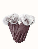 AUSTRALIAN SHEPHERD® Lennon Gloves