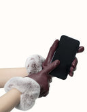 AUSTRALIAN SHEPHERD® Lennon Gloves