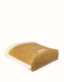 AUSTRALIAN SHEPHERD® Diana