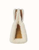 Australian Shepherd® Momo