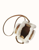 Australian Shepherd® Momo