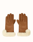 AUSTRALIAN SHEPHERD® Norya Gloves