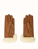 AUSTRALIAN SHEPHERD® Norya Gloves