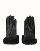 AUSTRALIAN SHEPHERD® Norya Gloves