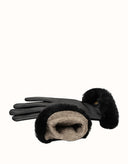 AUSTRALIAN SHEPHERD® Norya Gloves