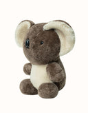 AUSTRALIAN SHEPHERD® Mellora Koala