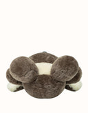 AUSTRALIAN SHEPHERD® Mellora Koala