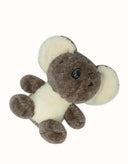 AUSTRALIAN SHEPHERD® Mellora Koala
