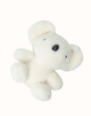 AUSTRALIAN SHEPHERD® Mellora Koala
