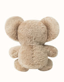 AUSTRALIAN SHEPHERD® Mellora Koala