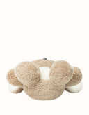 AUSTRALIAN SHEPHERD® Mellora Koala
