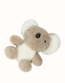 AUSTRALIAN SHEPHERD® Mellora Koala