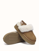 AUSTRALIAN SHEPHERD® Sp Suzie Platform