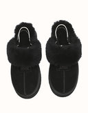 AUSTRALIAN SHEPHERD® Sp Suzie Platform