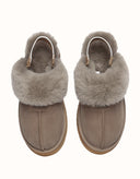 AUSTRALIAN SHEPHERD® Sp Suzie Platform