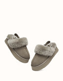 AUSTRALIAN SHEPHERD® Sp Suzie Platform