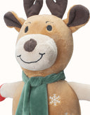 TARRAMARRA® Christmas Pet Chewers